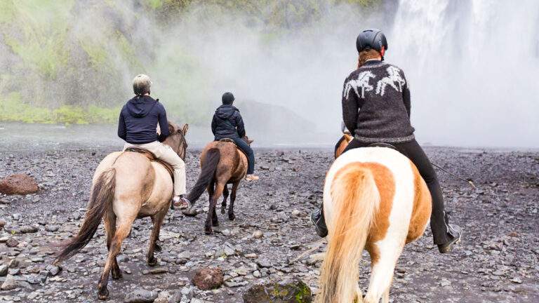 Group of young people horse riding in Iceland