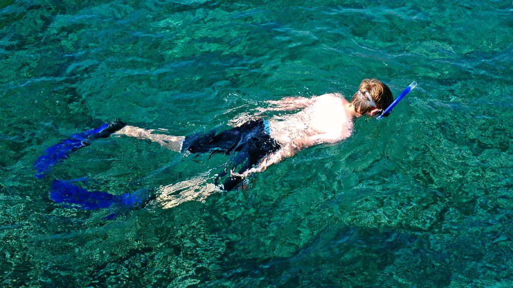 young boy snorkelling in the sea