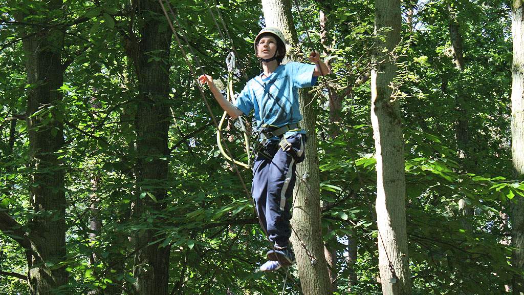 Young person on a tree-top assault course