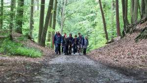 Scout group hiking through a wood