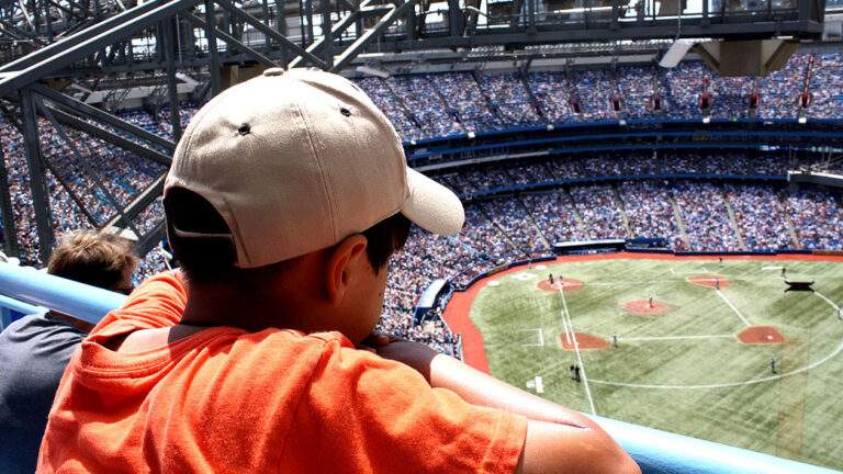 Person watching a baseball game in Toronto