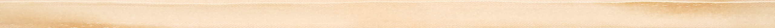 Corkboard border