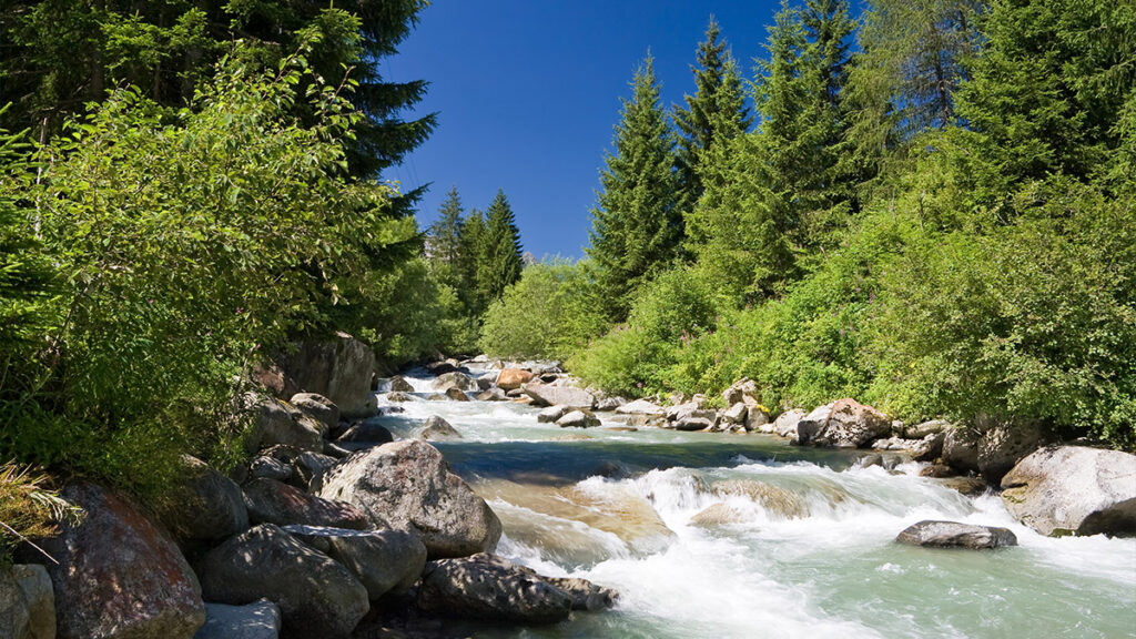 Noce River