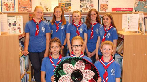 Girl Guides fundraising