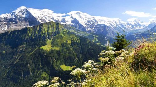 Stunning views from the Niesen