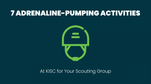 blog-header-7-adrenaline