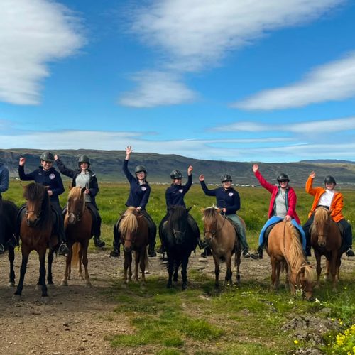 Cambridgeshire East Division Guides adventure to Iceland