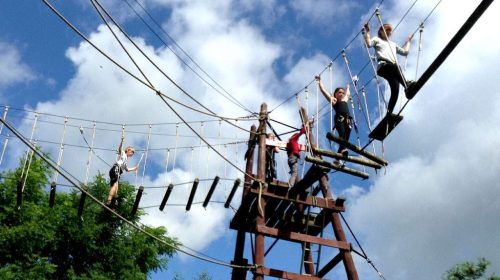 Group of children n a high rope course