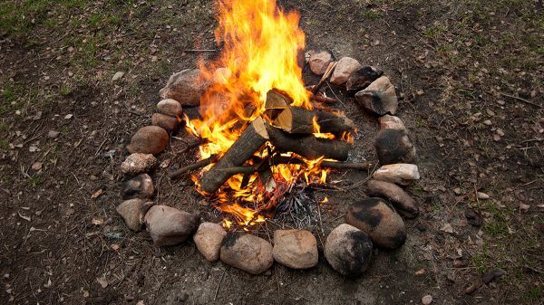 Forest campfire