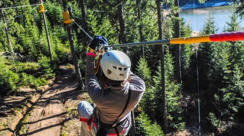 Zipline in the forest
