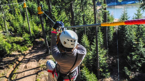 Zipline in the forest